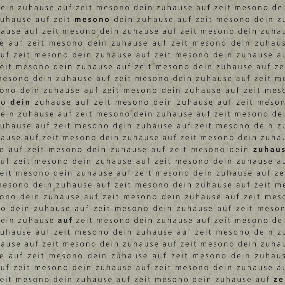 Projekt Mesono